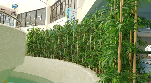 במבוק מלאכותי ראשית