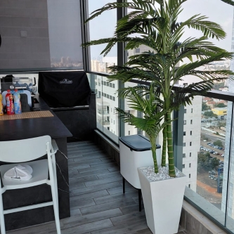 דקל_טבעות_טרפז_לבן