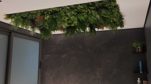 פלטה ירוקה מהתקרה באמבאטיה