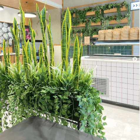 צמחים מלאכותים במטבח