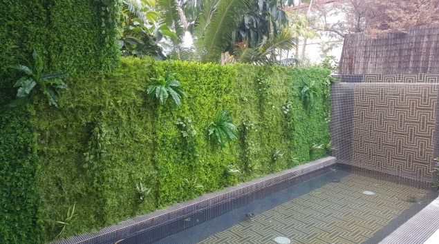 קיר ירוק לאירועים - אתר סחלבים