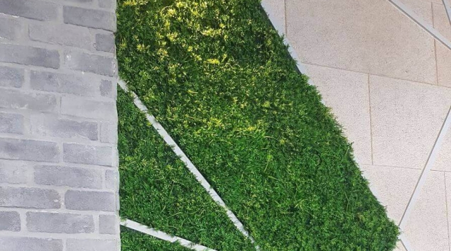 קיר ירוק מלאכותי מעוצב