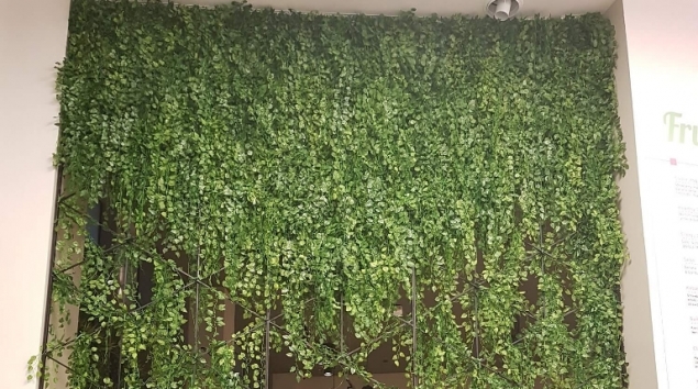 קיר ירוק מעוצב מבית סחלבים